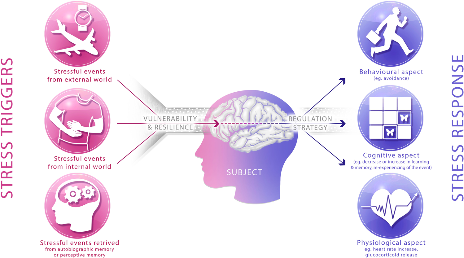 Human Stress Detection